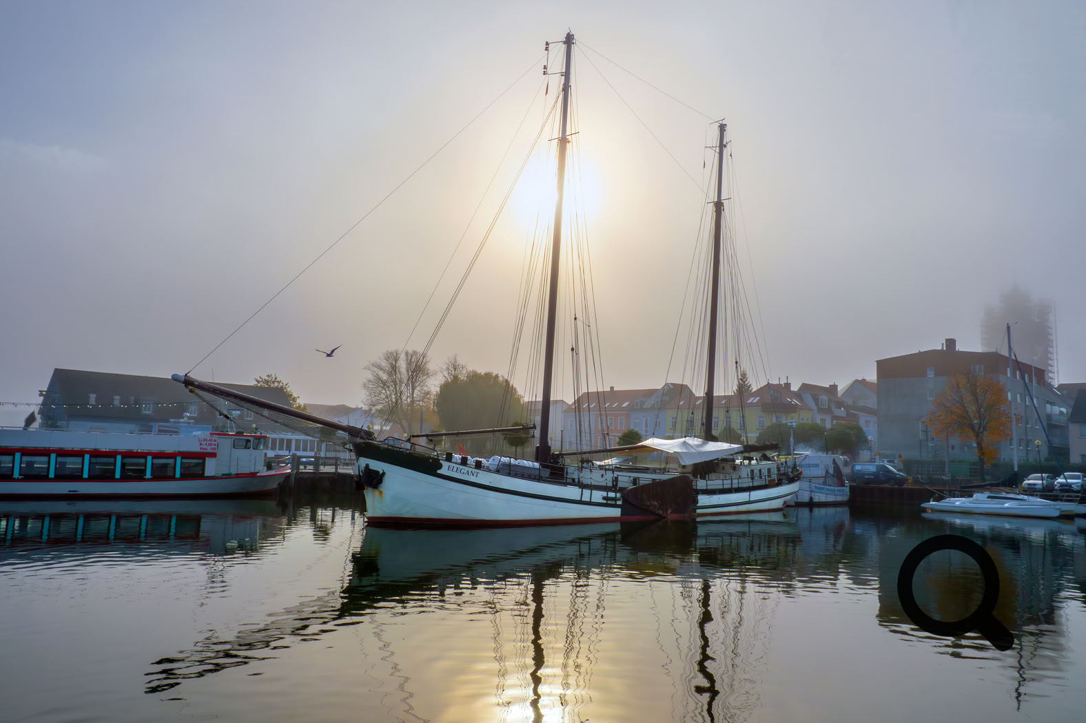 Traditionssegler ELEGANT in Ribnitz