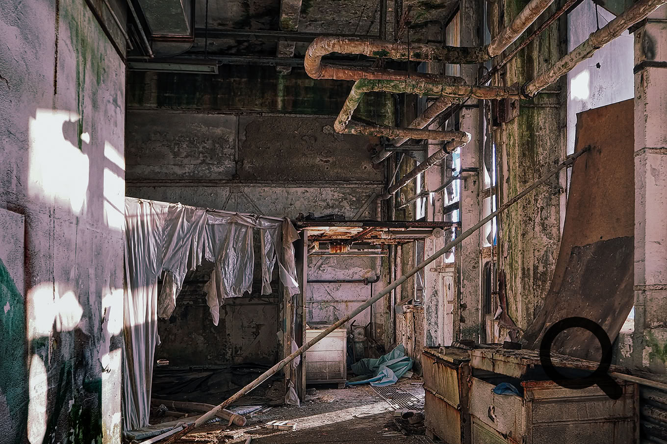 Eine ehemalige Malerwerkstatt auf einem Werftgelände in MV.