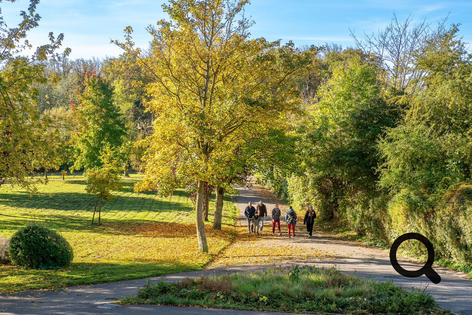 Kulisse für Hochzeitsfotos
